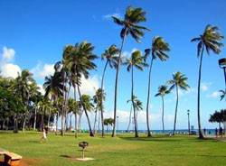 ����´��ڴ�