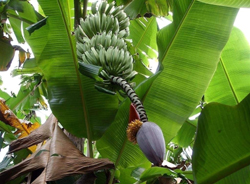 ����´��ڴ�